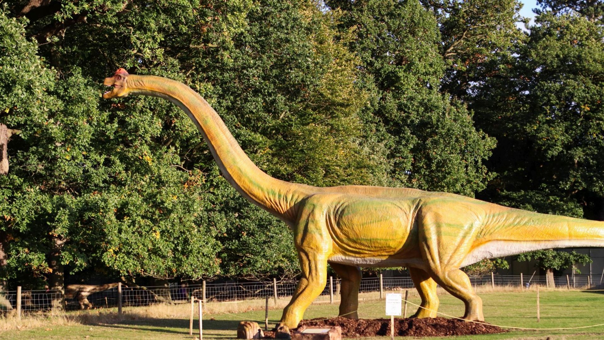Animatronic Brachiosaurus 16m long, 8+ m high, constructed from quality steel structure, high- - Image 3 of 3