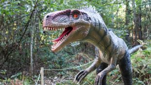 Yangchuanosaurus 4.5m long,constructed from quality steel structure, high-density sponge and three-