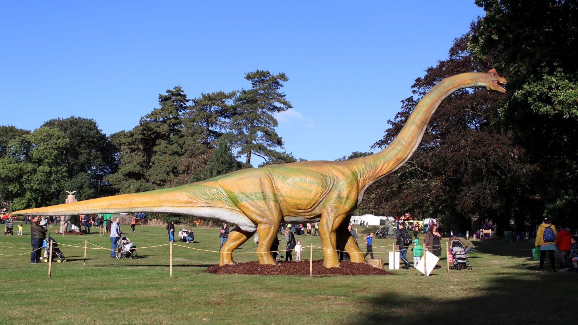 Animatronic Brachiosaurus 16m long, 8+ m high, constructed from quality steel structure, high- - Image 2 of 3