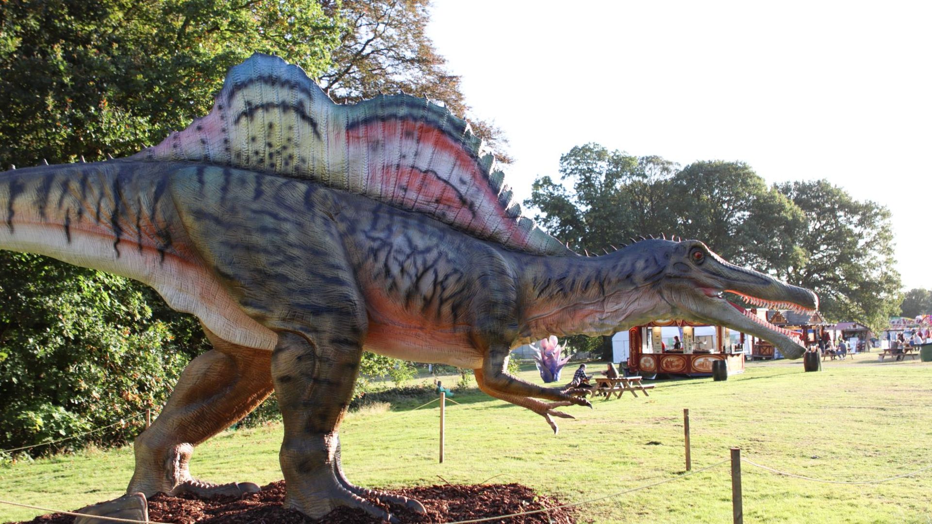 Animatronic Spinosaurus 12m long, 6 m high, constructed from quality steel structure, high-density - Image 4 of 6