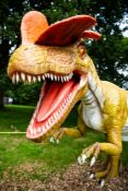 Animatronic Dilophosaurus constructed from quality steel structure, high-density sponge and three-