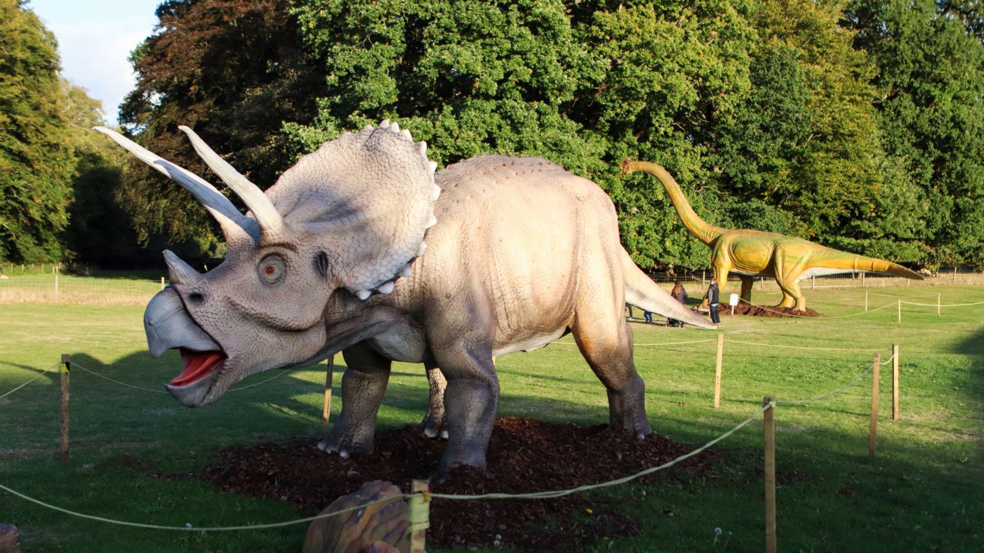 Animatronic Triceratops 8m long, 3 m high, constructed from quality steel structure, high-density - Image 2 of 4