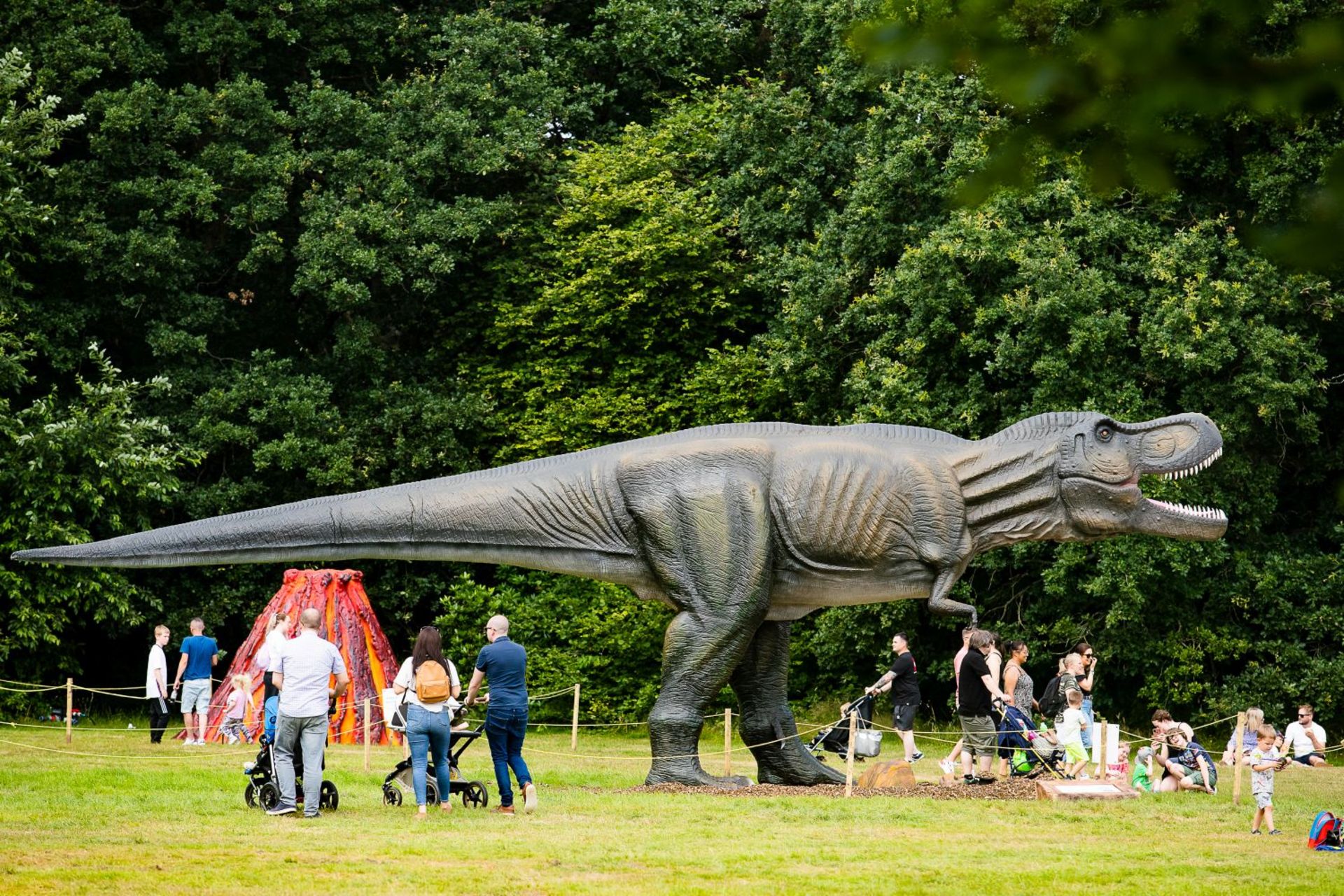 Animatronic Tyrannosaurus 12m long, 5.5 m high, constructed from quality steel structure, high-