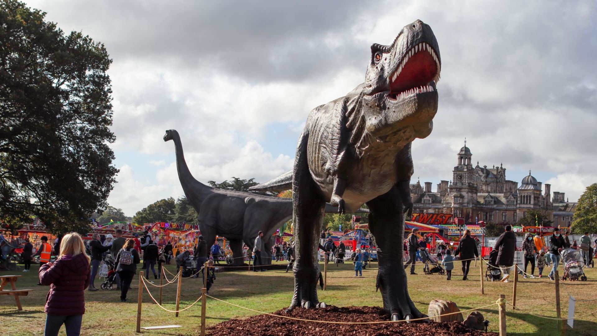 Animatronic Tyrannosaurus 12m long, 5.5 m high, constructed from quality steel structure, high- - Image 2 of 8