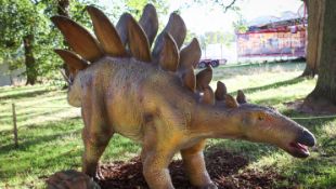 Animatronic Stegosaurus 5m long, 1.5 m high, constructed from quality steel structure, high-