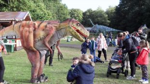 Dinosaur costume made from quality steel structure and high density sponge. Fully wearable robotic