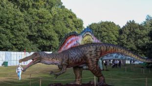 Animatronic Spinosaurus 12m long, 6 m high, constructed from quality steel structure, high-density