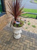 Ornamental Plant Pot