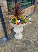 Ornamental Plant Pot