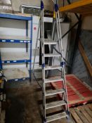 Seven Rise Aluminium Sep Ladder