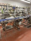 Three Stainless Steel Framed Belt Conveyors, each approx. 2.35m centres long x 300mm wide on belt