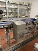 Cintex STAINLESS STEEL CHECK WEIGHER, with two rejection arm, approx. 1.3m centres long x 170mm wide