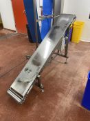 Inclined Stainless Steel Belt Conveyor, approx. 2m centres long x 3m wide on belt, 240VPlease read