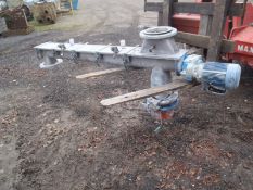 Stainless Steel Screw Conveyor, approx. 130mm wide