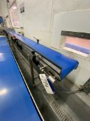 Stainless Steel Framed Belt Conveyor, approx. 4.1m centres long x 300mm wide on beltPlease read
