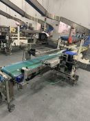 Zebra ZE500 Single Head Labeller, with fitted stainless steel framed conveyor, approx. 1.95m centres
