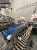 Twin Tracked Stainless Steel Belt Conveyor, up to approx. 3.45m centres long x 20mm wide on