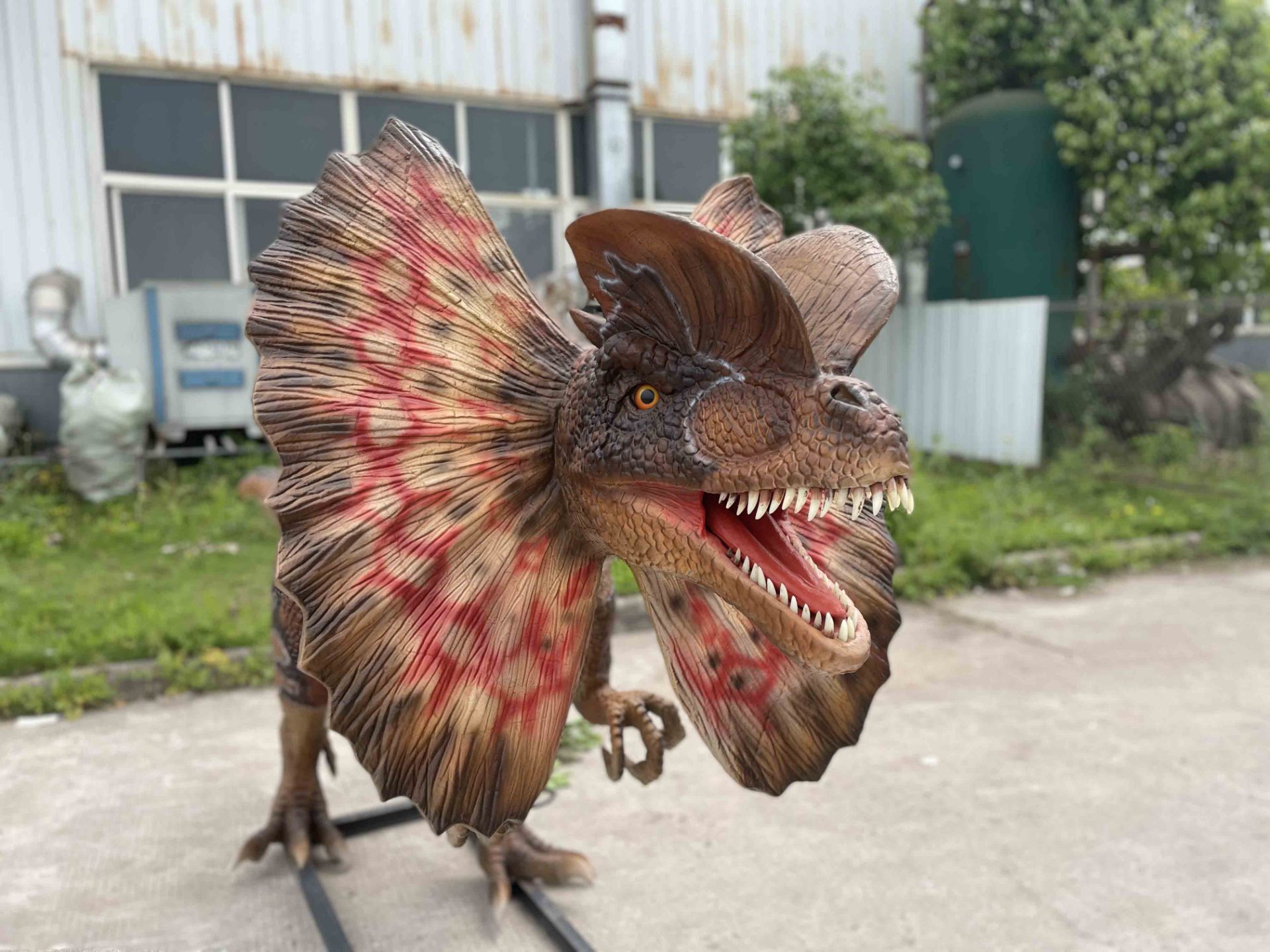 Animatronic Dilophosaurus by Only Dinosaurs, 4m long, 1m wide, 1.6m high, approx. 120kg - Image 3 of 7