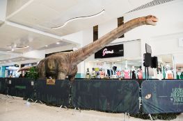 Animatronic Ruyangosaurus by Only Dinosaurs, 10m long, 1.2m wide, 3m high, approx. 370kg constructed