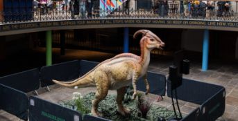 Animatronic Parasaurolophus by Only Dinosaurs, 5.3m long, 1.1m wide, 3.1m high, approx. 250kg