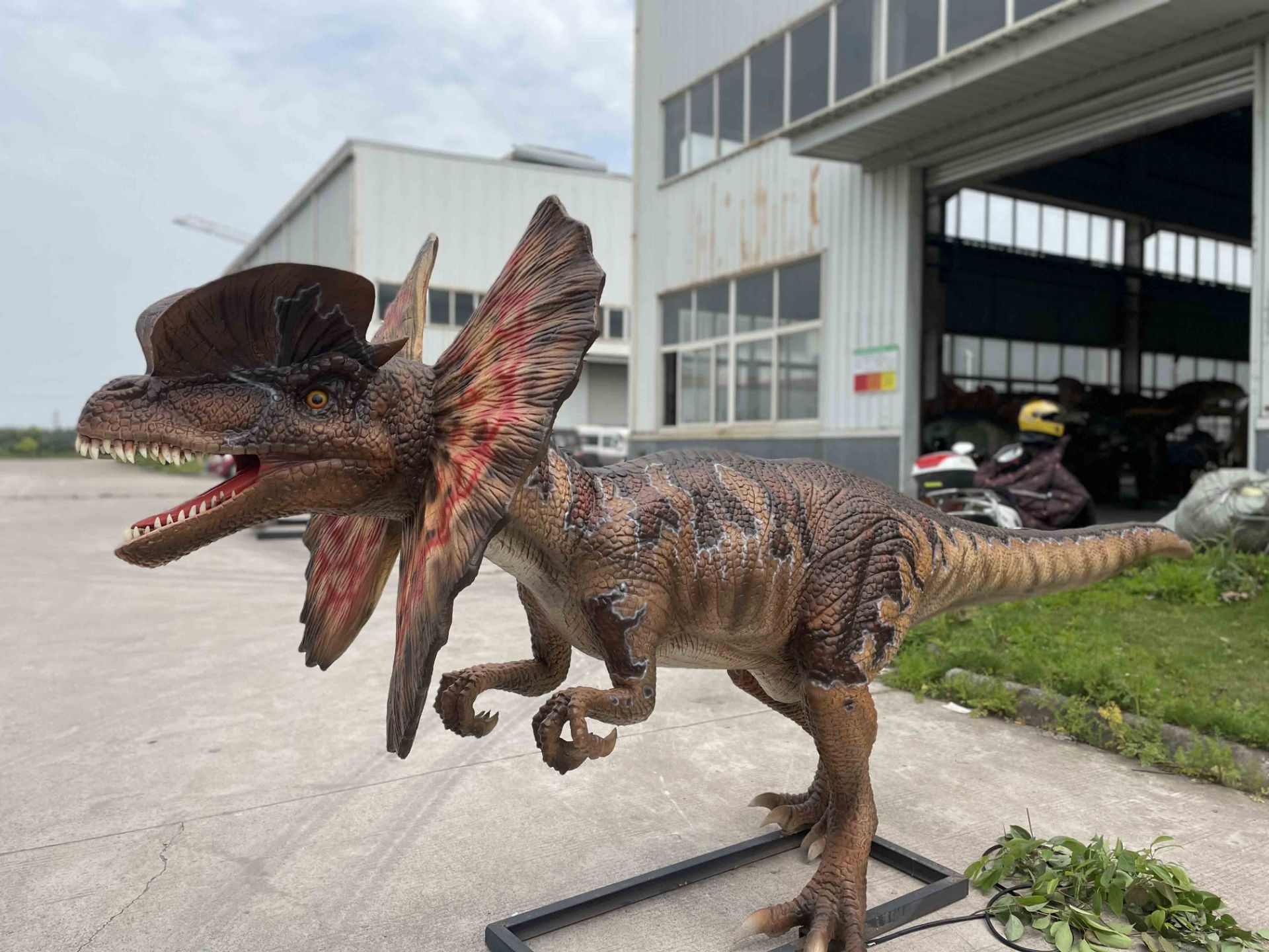 Animatronic Dilophosaurus by Only Dinosaurs, 4m long, 1m wide, 1.6m high, approx. 120kg - Image 5 of 7
