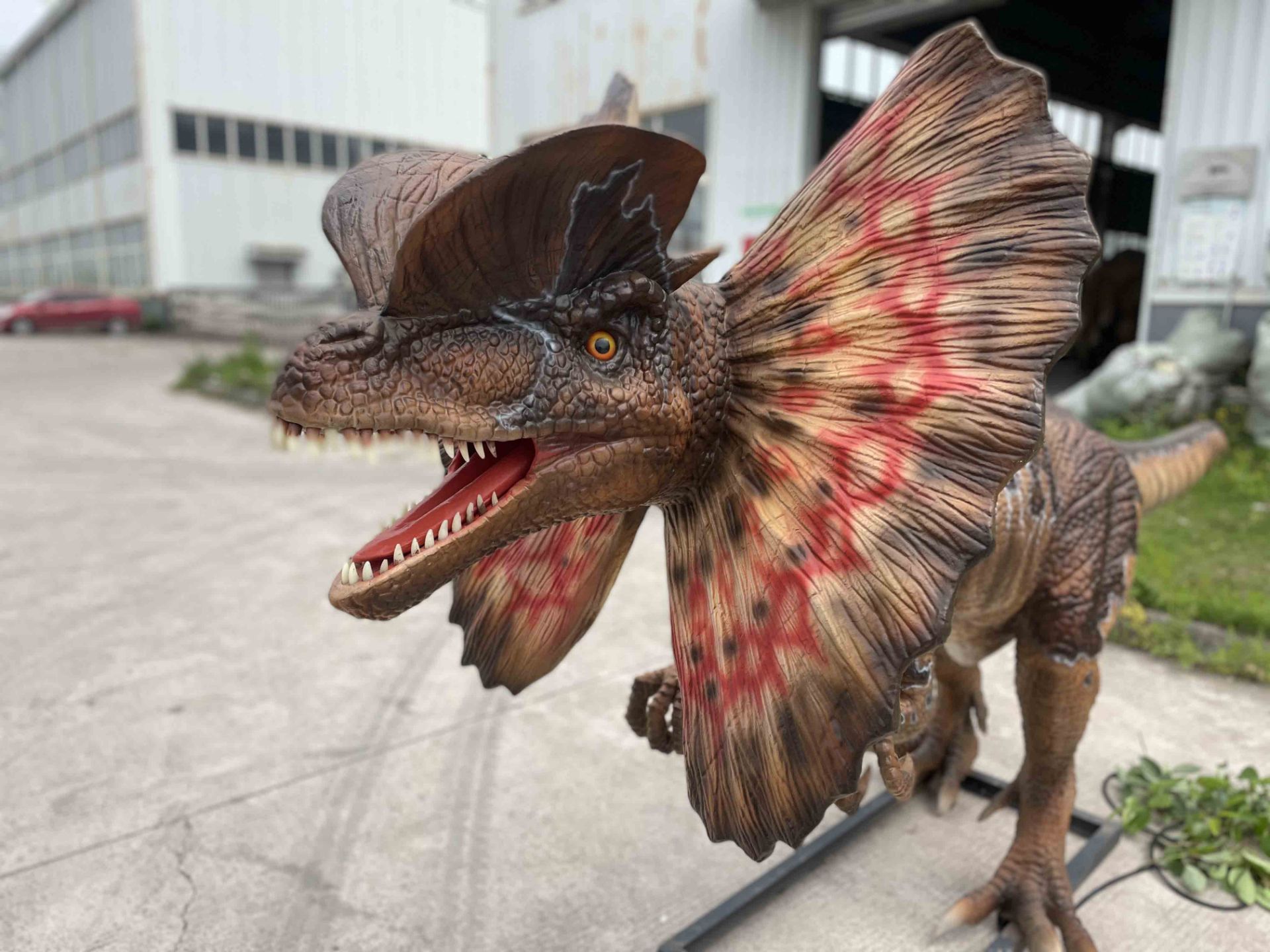 Animatronic Dilophosaurus by Only Dinosaurs, 4m long, 1m wide, 1.6m high, approx. 120kg - Image 2 of 7