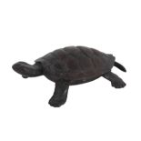 Patinated Bronze Turtle