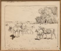 Koch, Georg Karl (1857 Berlin- 1936 ebenda) "Pferde auf der Wiese", Zeichnung, mit Randnotizen, mon
