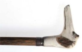 Gehstock, Bambusschuß mit Metallmontierung, Horngriff in Form eines Hundekopfes mit Glasaugen, L. 8