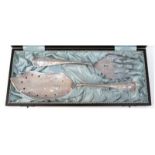 Fischvorlegebesteck, WMF, versilbert, 2-teilig, Mit Fisch- und Floraldekor, L. 24 und 27,5 cm, im E