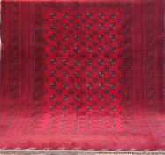 Afghan, rotgrundig mit ornamentalem Muster, Kante besch., Florfehlstellen, 286x200 cm