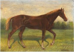 Bauer, A. "Pferd auf der Weide", Öl/Lw., sign. u.r., 34x41 cm, Rahmen