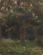 Gerresheim, Anna (1852 Ribnitz-1921 Ahrenshoop) "Baumblüte"Öl/Mp., signiert u.r., Farbfehlstellen a