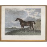 "Pferd 'Richard' in Uferlandschaft", altkol. Kupferstich 1828, 10x13 cm, hinter Glas im Passepart