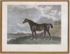 "Pferd 'Richard' in Uferlandschaft", altkol. Kupferstich 1828,   10x13 cm, hinter Glas im Passepart