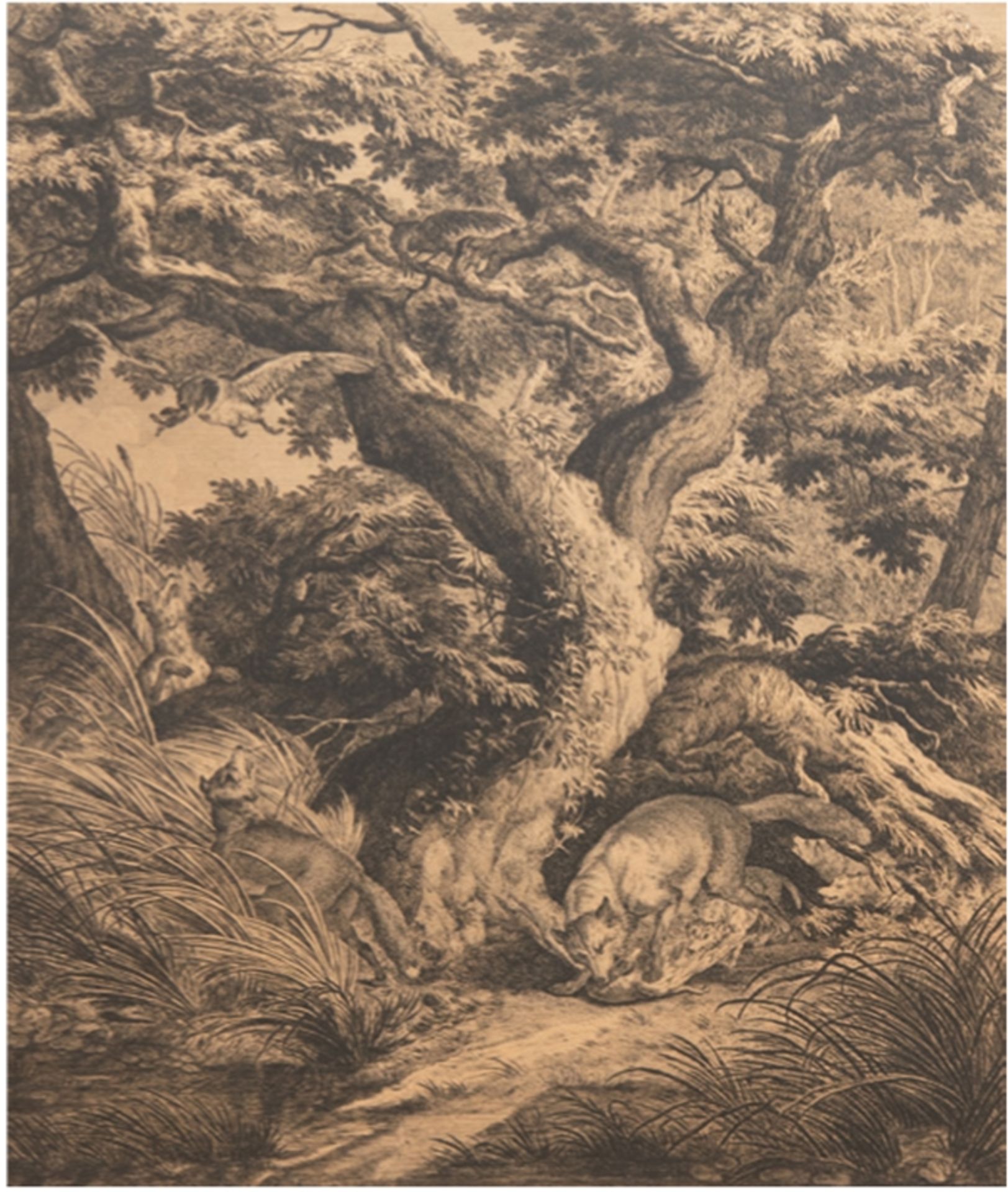 Ridinger, Johann Elias (1698-1767) "Füchse beim Fressen auf der Jagd", Kupferstich, unterhalb "Spuh