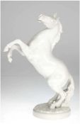 Porzellanfigur "Aufsteigendes Pferd", Hutschenreuther Kunstabteilung, Entwurf Karl Tutter (1883- 19