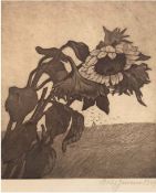 Jensen, Oluf "Sonnenblume am Feldrand", Radierung, handsign. u.r. und dat. 1929, 28x22 cm, im Passe
