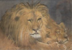 "Löwenpaar", Pastell, unsign., 51x67 cm, hinter Glas und Rahmen