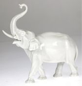 Meissen-Figur "Elefant", weiß, 1. Wahl, 1 Stoßzahn geklebt und bestoßen, 17x18x6 cm