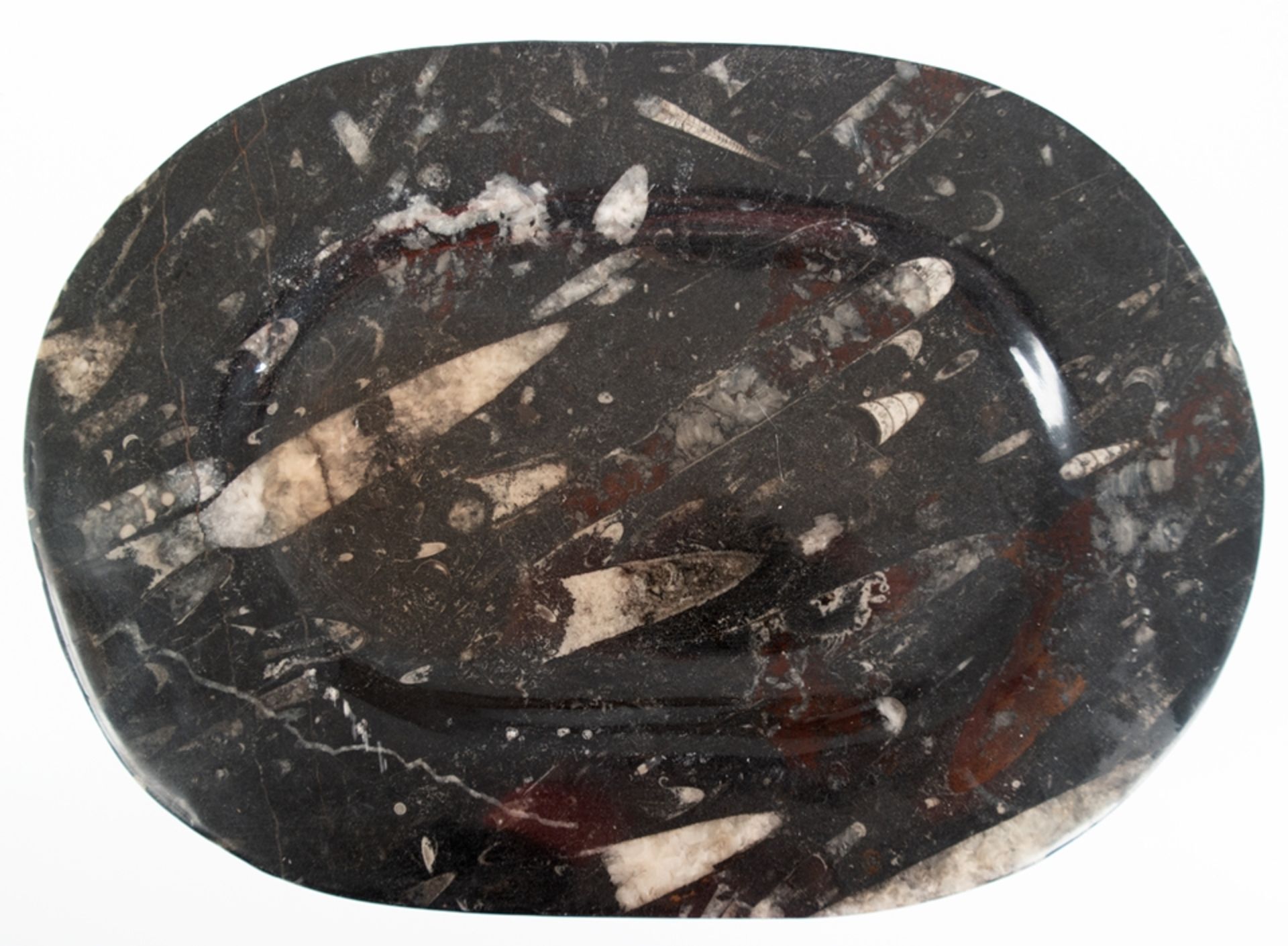Steinplatte mit Fossilien, oval, etwas gemuldet, 33x23 cm