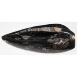 Henkelschale, Stein mit Fossilien, blattförmig mit mittigem Henkel, 6x23,5x15 cm