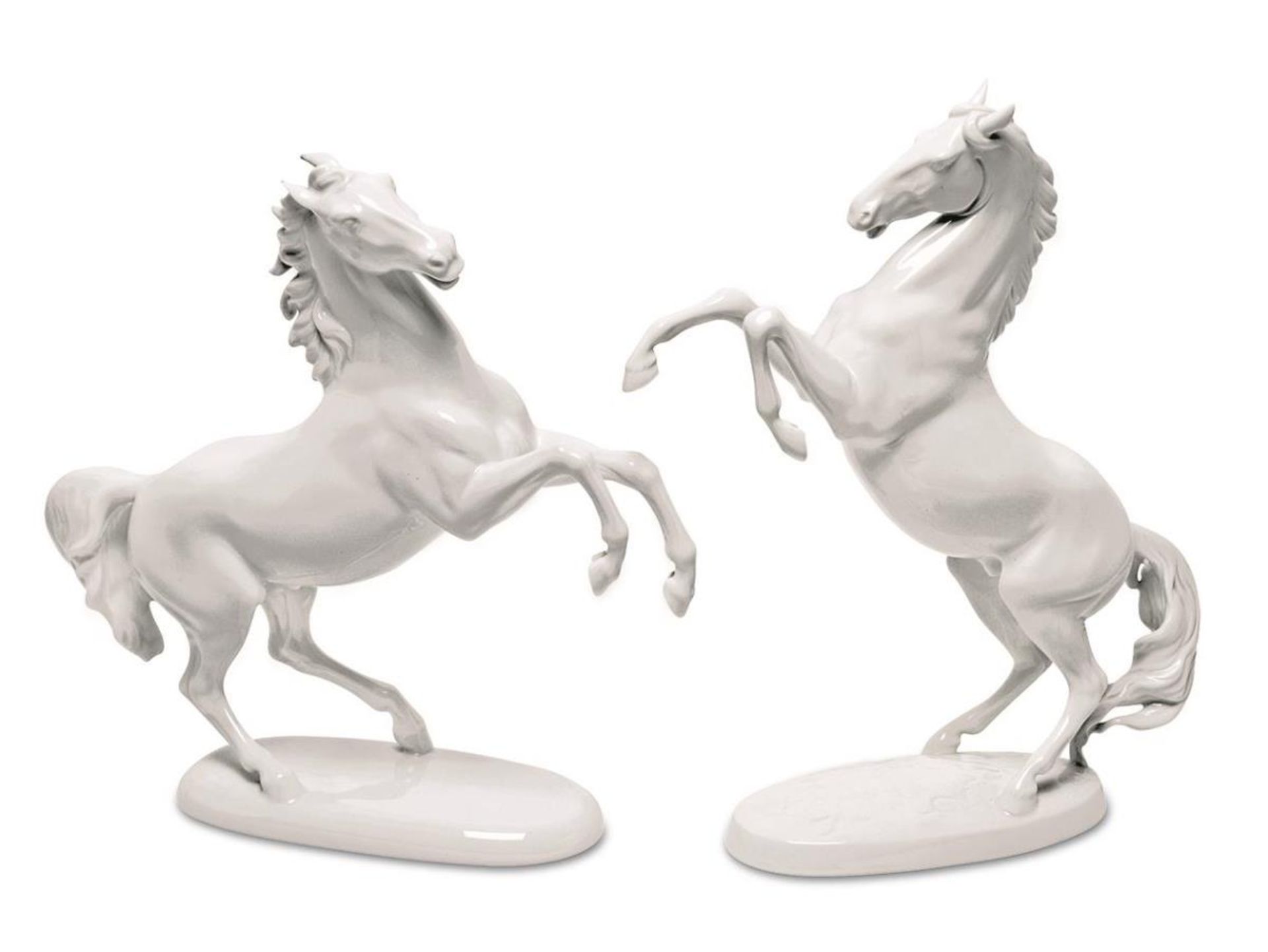 Zwei steigende Pferde. Augarten bzw. Rosenthal | Porzellan, weiß.