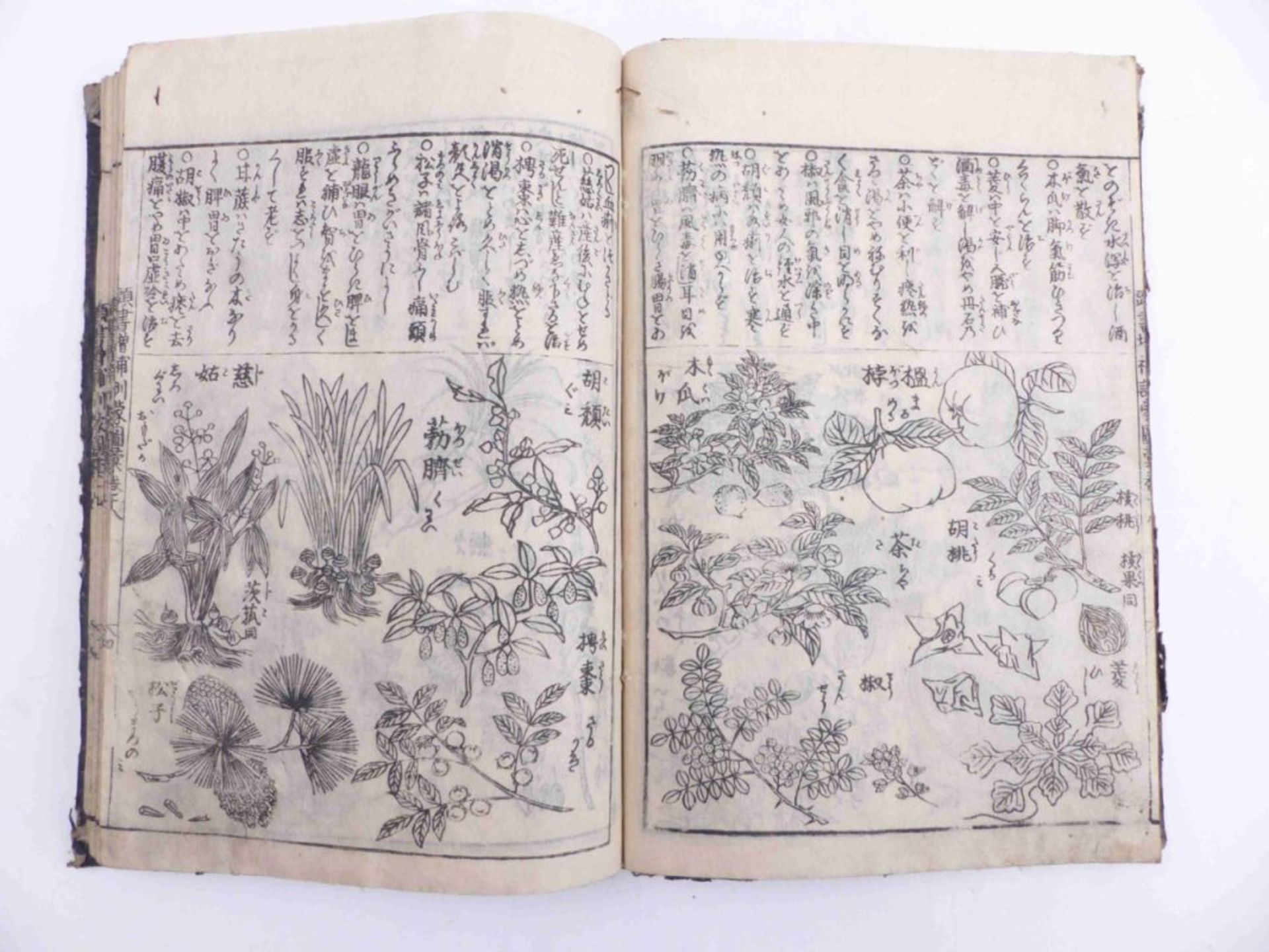 Dreibändige Enzyklopädie, Japan, 19. Jh. - Image 20 of 22