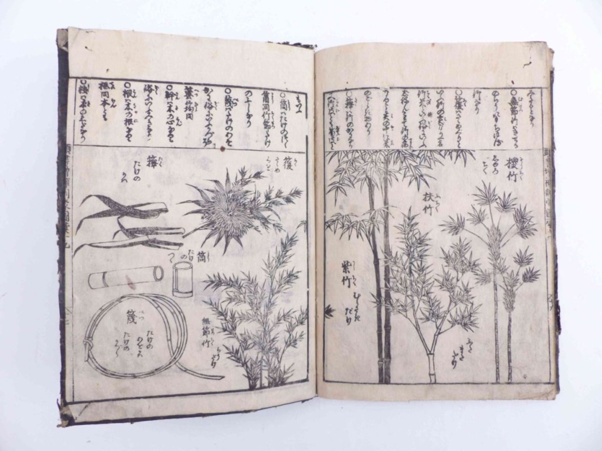 Dreibändige Enzyklopädie, Japan, 19. Jh. - Image 16 of 22