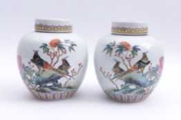 Paar dekorative Ingwertöpfe mit Vogel-Fels-Dekor