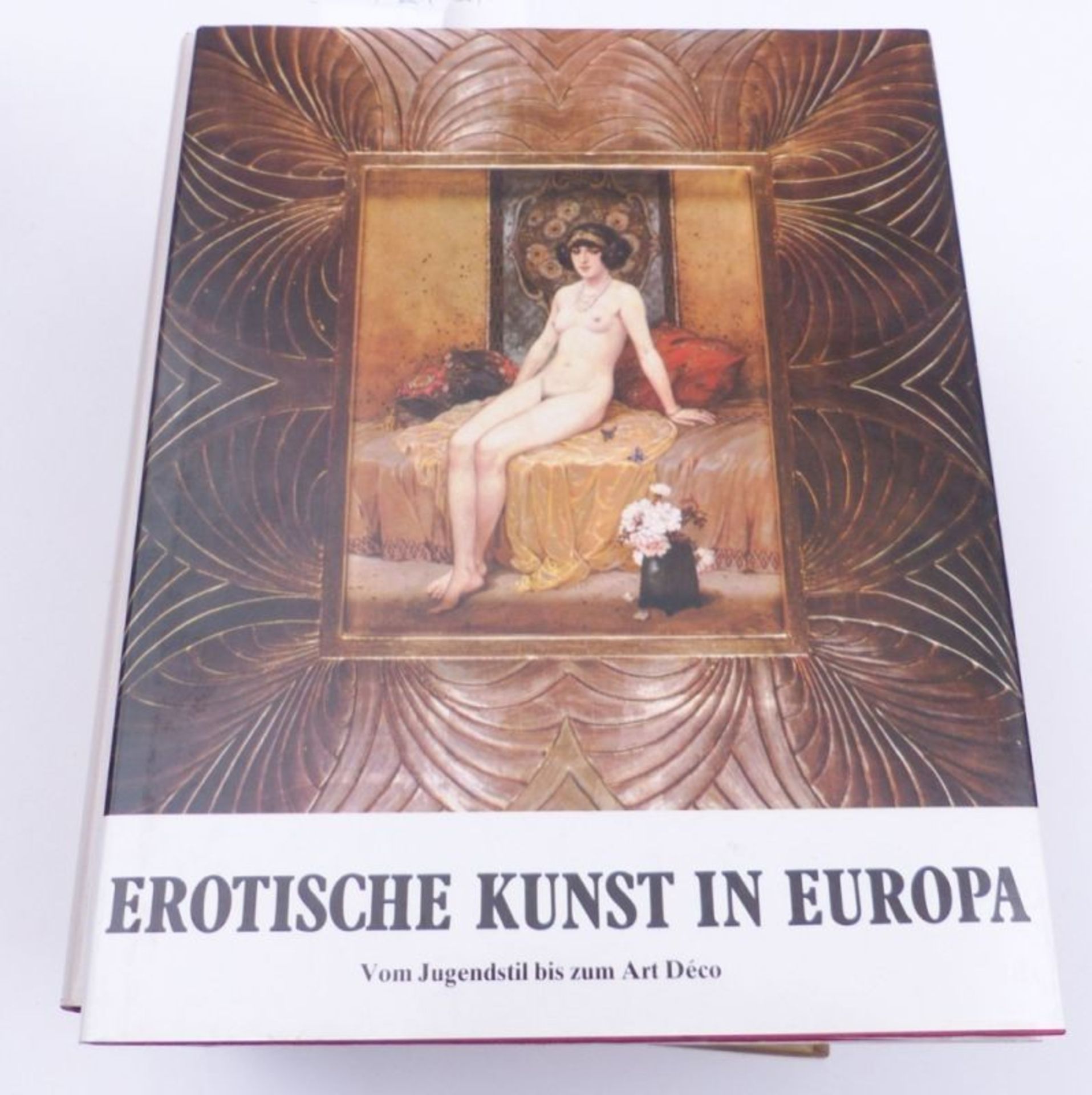 Konvolut von 6 Büchern zu erotischer Kunst - Bild 5 aus 6