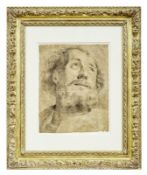 Rubens, Peter Paul (Attrib.): Kopf eines bärtigen Mannes