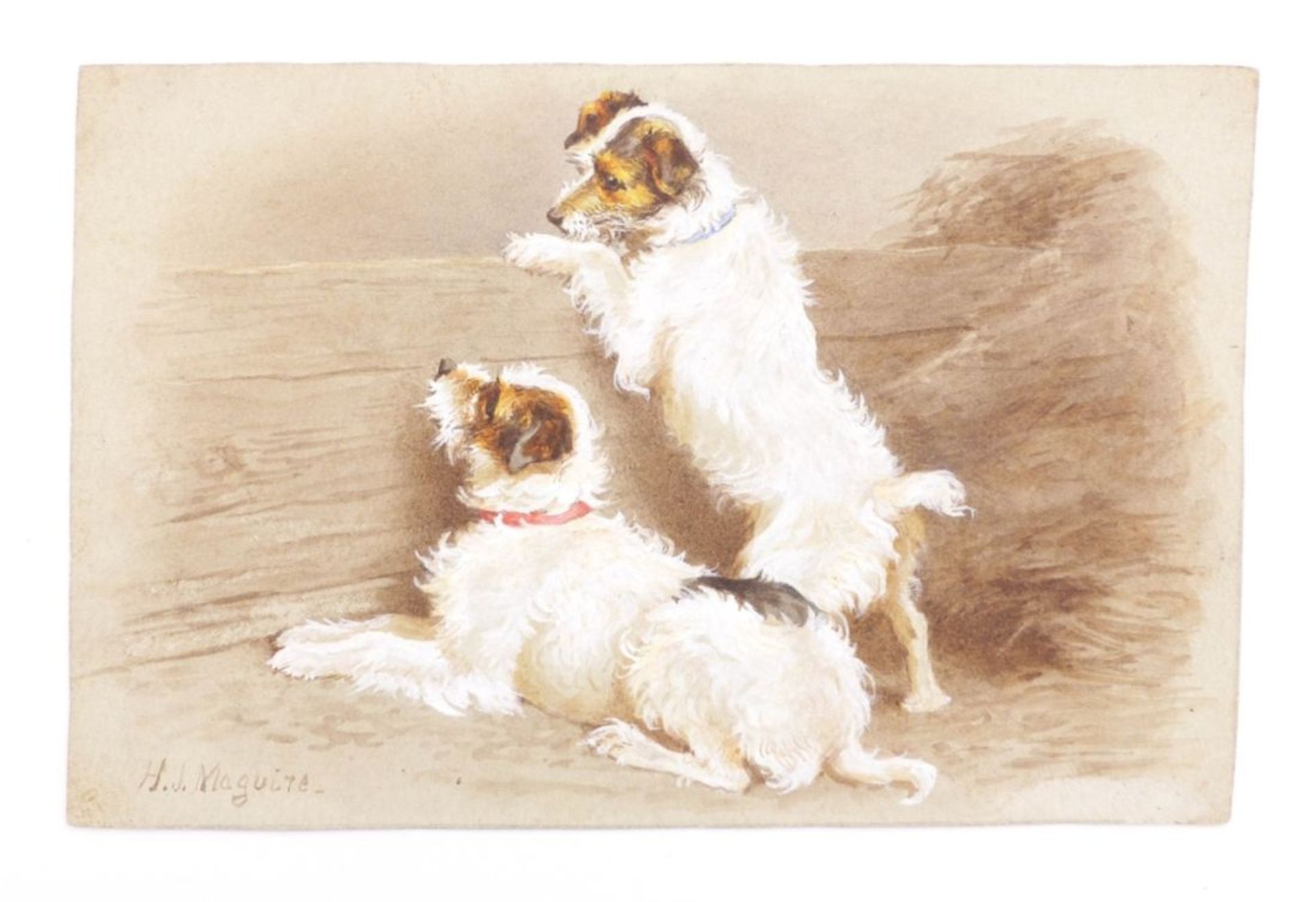 Maguire, Helena: Zwei Foxterrier an einem Bretterzaun - Image 2 of 4