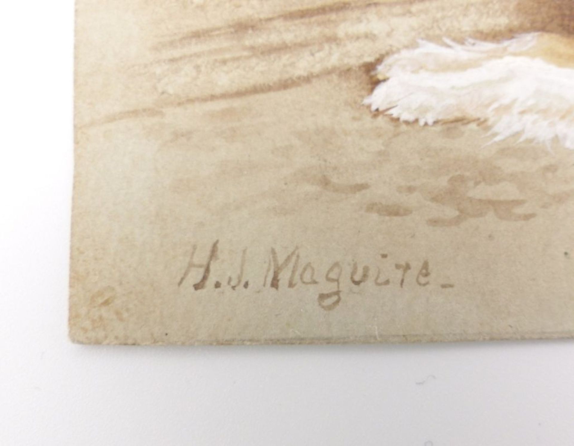 Maguire, Helena: Zwei Foxterrier an einem Bretterzaun - Image 4 of 4